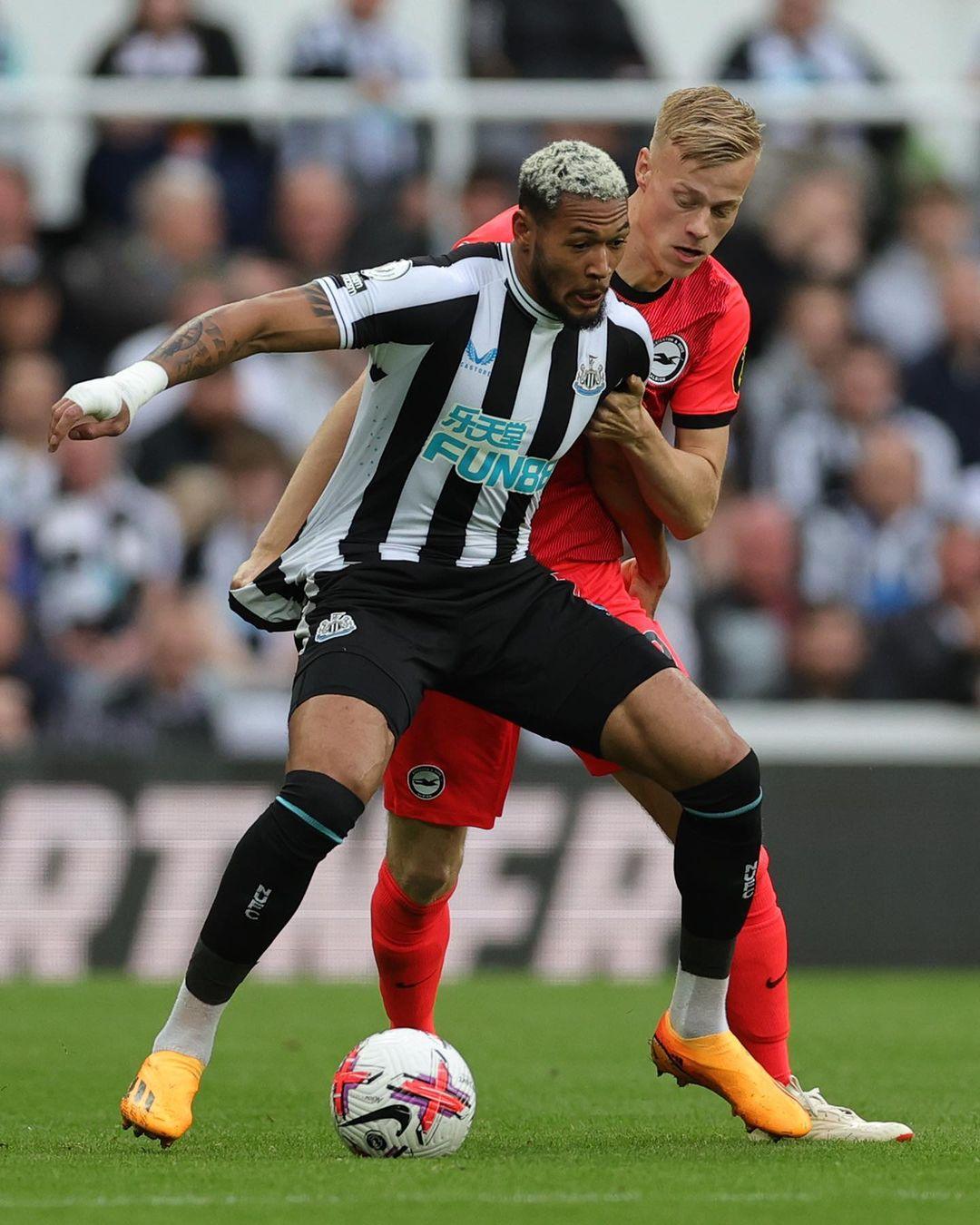 美食节今日开启！！！